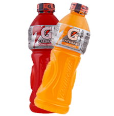 Depósto do Barão - PET de matte leão 1,5